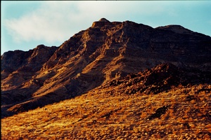 arid15