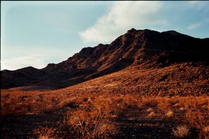 arid16
