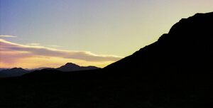 arid18