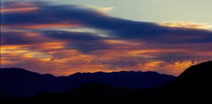 arid19