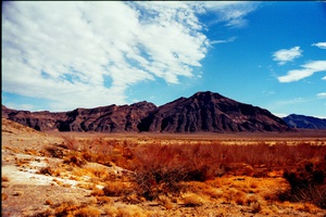 arid2