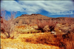 arid3