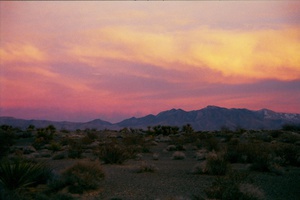 arid3 11