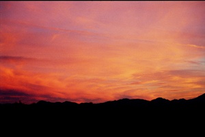 arid3 13
