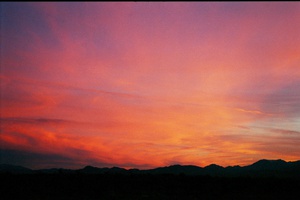 arid3 18