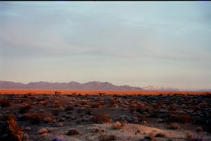 arid3 2
