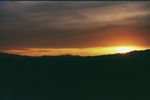 arid3 3