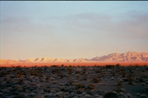arid3 5
