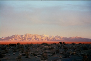 arid3 6