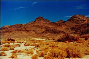 arid7