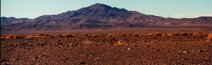 arid9