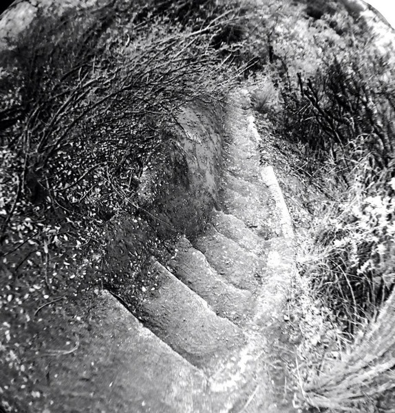 Murphys Stairs Print
