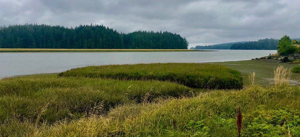 Wetlands Print