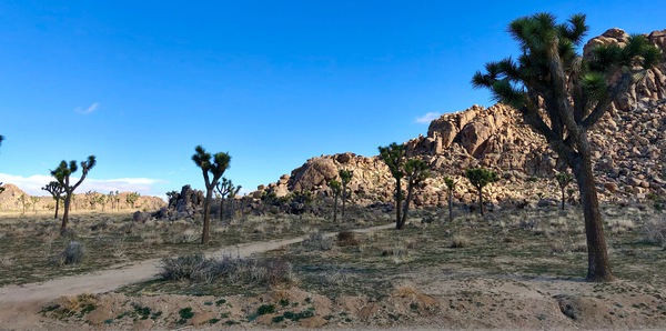 JTNP Print