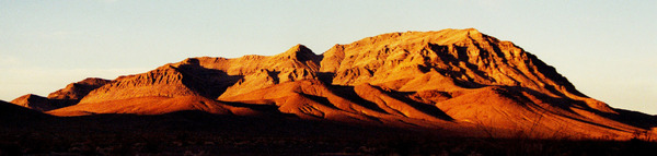 arid11 Print