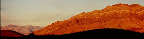 arid12 Print