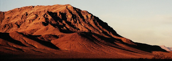 arid13 Print