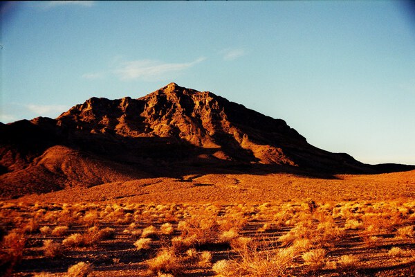 arid14 Print