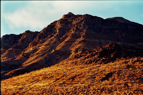 arid15 Print