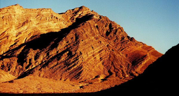 arid17 Print