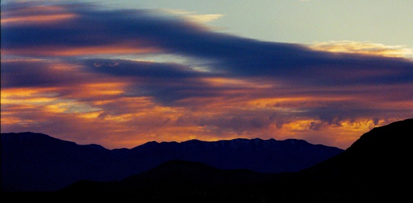 arid19 Print