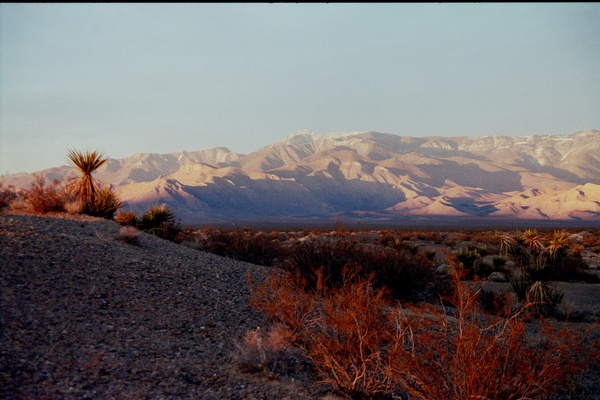 arid3 1 Print