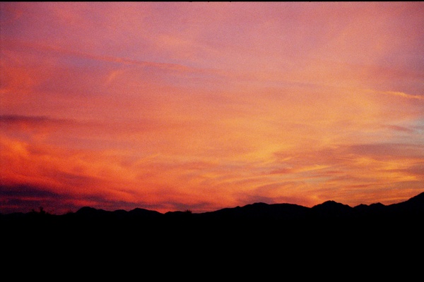 arid3 13 Print