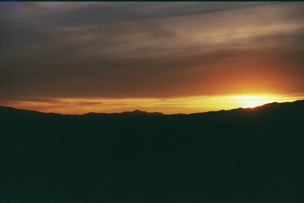 arid3 3 Print