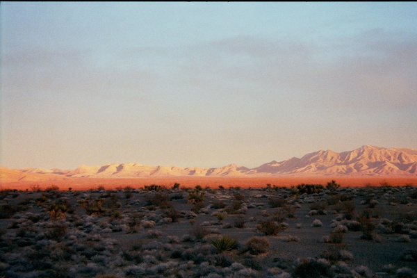 arid3 5 Print