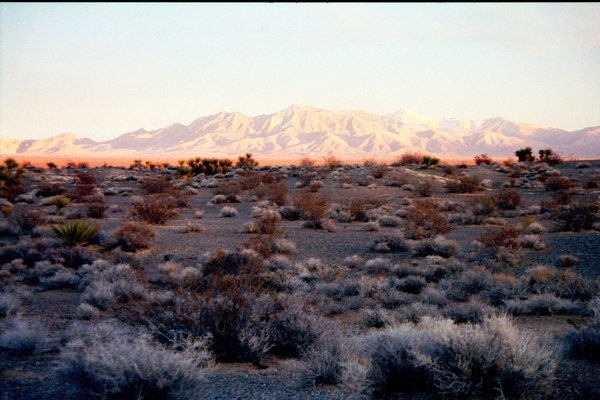 arid3 7 Print
