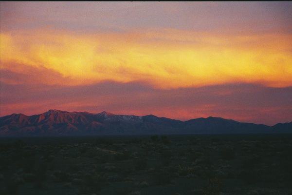 arid3 8 Print
