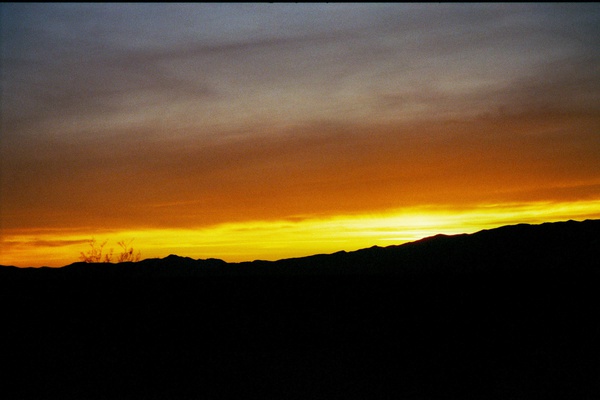 arid3 9 Print