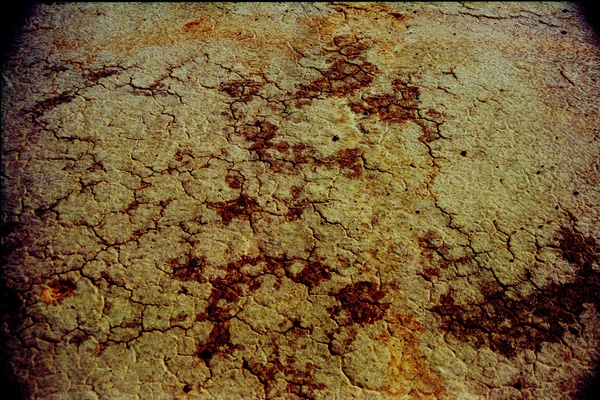 arid6 Print