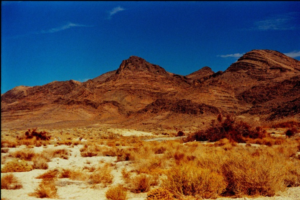 arid7 Print