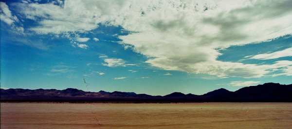 arid8 Print