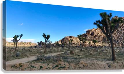 JTNP Canvas Print