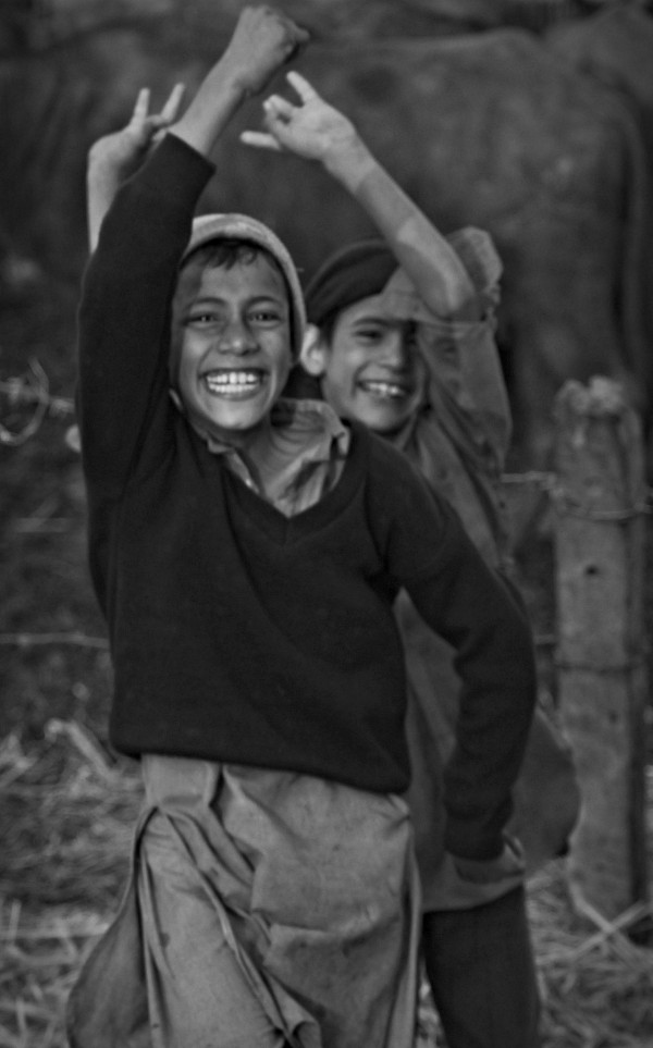 Sheer Happiness  Print