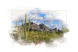 Ajo Mountain Desert Landscape 2