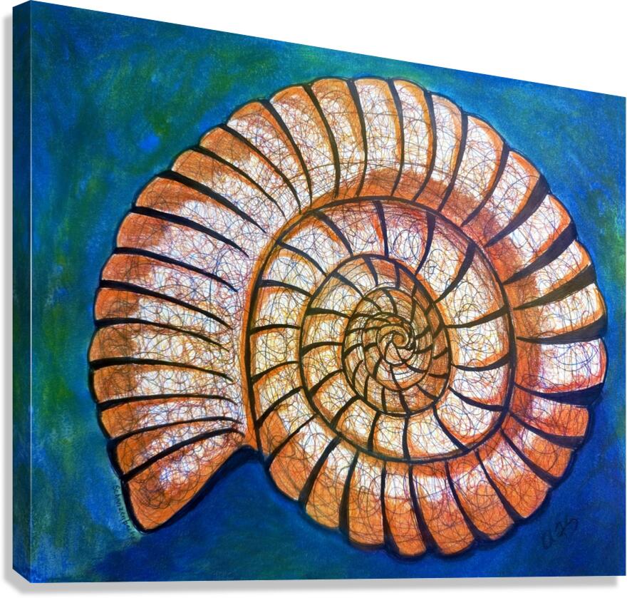 Shell Canvas Print