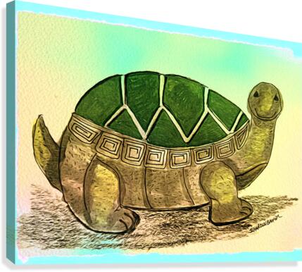 Turtle  Canvas Print