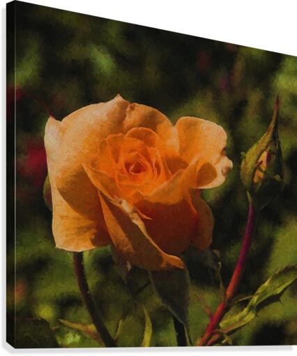 Orange Delight Canvas Print