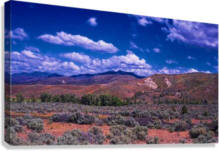 Painted Hills Canvas Print