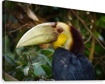 Toucan Canvas Print