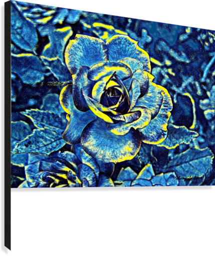 Blue Rose Canvas Print