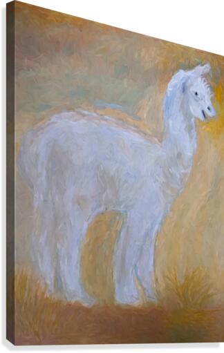 LLama Canvas Print