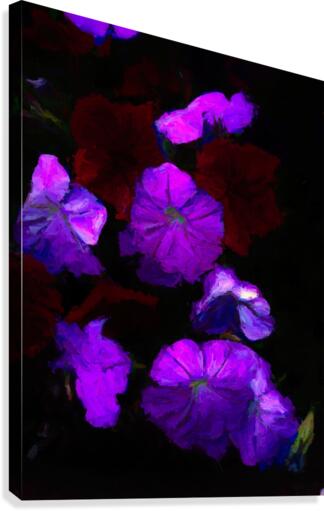 Evening Flowers Canvas Print