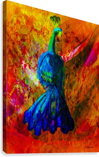 Peacock Canvas Print