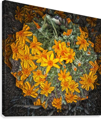 Textures Canvas Print