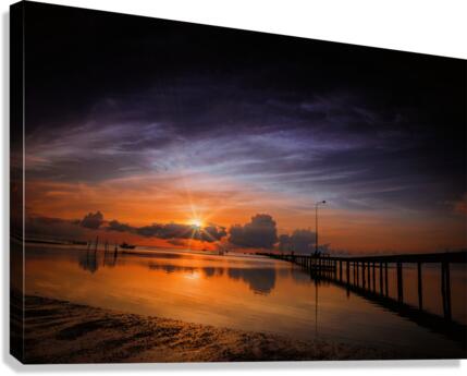 Beginnings Canvas Print