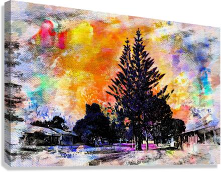 Sunbursts Canvas Print